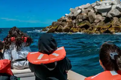 Comodoro abre la temporada de verano con un sábado a puro mar, aire y costa