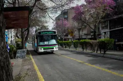 Paraná: seis líneas de colectivos cambian su recorrido desde este martes por la obra de 25 de Mayo