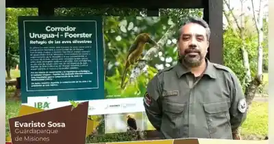 Misiones va a la Justicia por la Ley de Tierras: "Se está dejando endeble nuestra independencia"