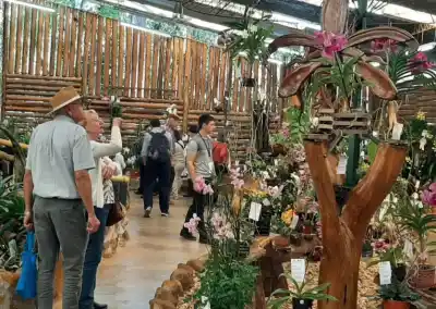 Montecarlo abre el pabellón: ya se reciben orquídeas y un premio inédito espera a los cultivos nacionales