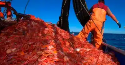 Santa Cruz desembarca en España con la pesca como bandera: la misión que arranca este martes