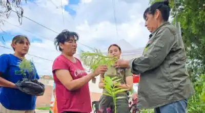 120 familias municipales de Tartagal cambian de estatus: qué pasó con los contratos