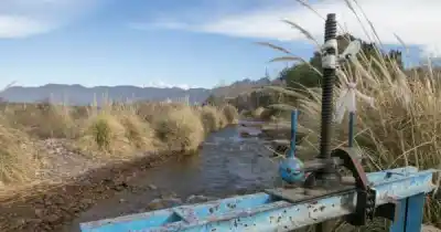 110.000 hectáreas, pumas y un cielo sin Internet: el parque que quieren crear en San Carlos