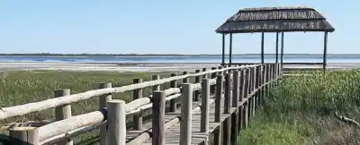 Marull se prepara para una tarde de aves y atardecer en la Laguna del Plata: las inscripciones cierran el viernes