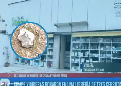 Rompió el vidrio de una librería a piedrazos y se llevó una fortuna: la alarma no sonó