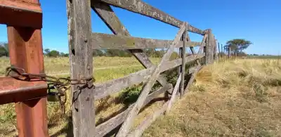 Con el foco en Atreucó, un investigador advirtió qué pasa con las tierras en manos extranjeras en La Pampa