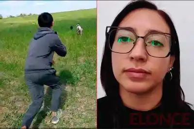 Videos de un gatito en Ramírez: identificaron a tres menores y ya hay denuncia