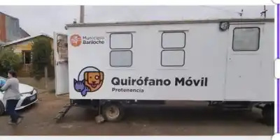 Castraciones gratis en dos barrios de Bariloche: los días y el requisito que muchos olvidan