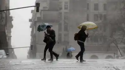 Neuquén ya limpia los sumideros antes de las lluvias: la drástica advertencia sobre lo que aparece en los arroyos