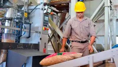 Un fenómeno inesperado sacude los ingresos de los trabajadores: ¿quiénes están ganando más?