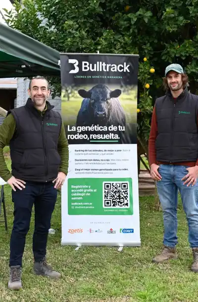 Dos hermanos de Carmen de Areco invirtieron US$5500 y hoy facturan US$115.000: qué hay detrás del negocio que rankea toros