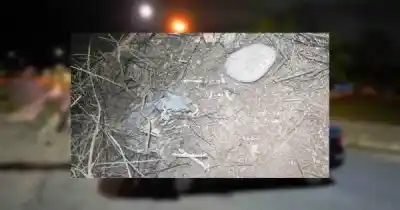 Trabajaban demoliendo una antena en Luján y encontraron restos óseos junto a un reloj