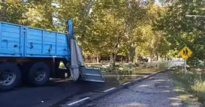Un camión perdió su carga en la ruta y lo que sucedió después generó un caos total