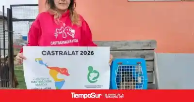Río Gallegos se sumó a una movida internacional de esterilización: los números que dejó la jornada