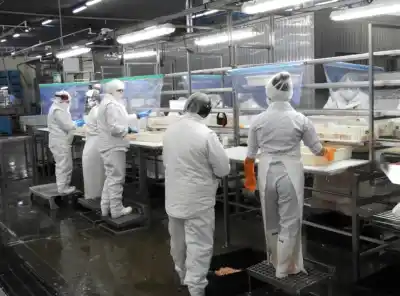 Chubut: pesquera buscaba personal y recibió casi 5.000 currículums en un solo día