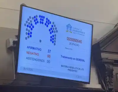 El Senado aprobó por unanimidad un proyecto minero en Malargüe: qué se viene ahora
