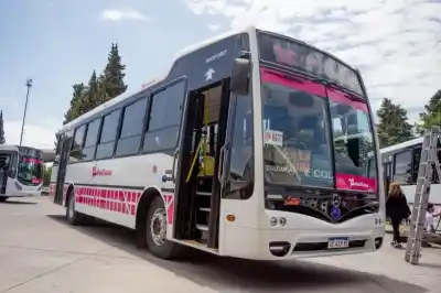 Los choferes de colectivos en alerta: qué pasará con el servicio si las empresas no pagan