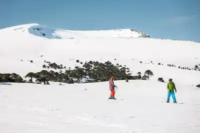 Villa Pehuenia rompió el molde del invierno: el número que dejó atrás a toda la cordillera