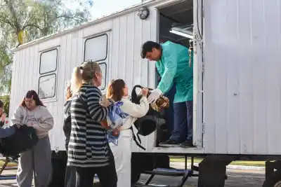 La Rioja ya superó las 2 mil castraciones gratuitas: cómo conseguir el turno para tu perro o gato