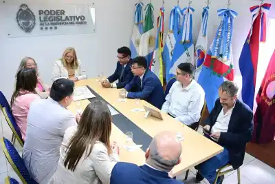 Carmen Delgado se reunió con cámaras de Bolivia y Hong Kong: el puerto chaqueño, en el centro de la negociación