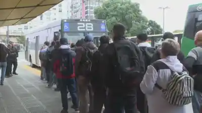 Empresas de colectivos amenazan con paralizar el servicio por una deuda millonaria del Estado