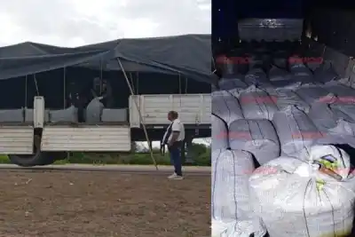 El camión que iba de Salta a Buenos Aires llevaba un cargamento que nadie esperaba