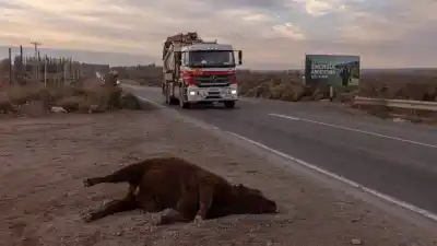 Acusaron a Infobae de usar IA para ilustrar Vaca Muerta, pero la foto escondía otra historia