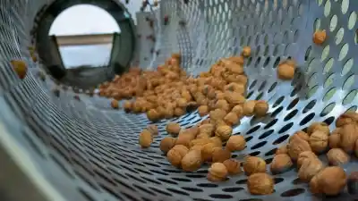 Cerró la fábrica de nueces en Sanagasta: 20 familias de la región se quedaron sin su sustento