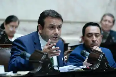 El diputado misionero que votará contra el DNU yerbatero: "Le quitó al INYM una herramienta clave"