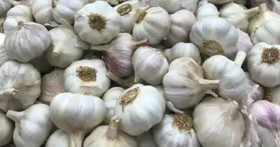El índice que ya les pone números al reclamo de los productores del Valle de Uco