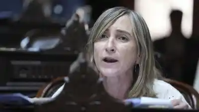Una diputada libertaria quiere multar los insultos en el Congreso: el detalle que la deja mal parada frente a Milei