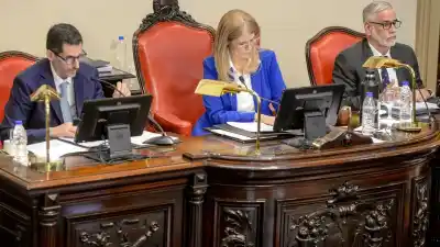 El Senado bonaerense metió mano en la "ley Ema" y el proyecto vuelve a Diputados