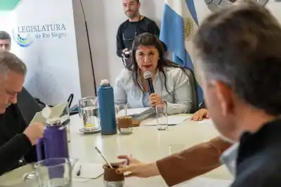 Piden que la Legislatura trate un código penal juvenil: la carta que recibió Pesatti