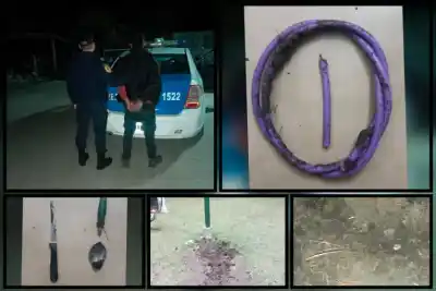 Tres hombres fueron sorprendidos arriba de un árbol: lo que la Policía encontró en sus manos
