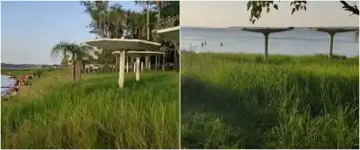 En Candelaria una playa se llena de gente pero nadie corta el pasto: "Cualquier serpiente podés encontrar"