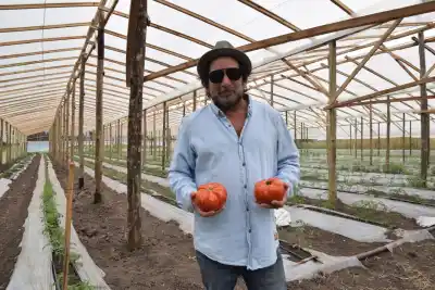 El abogado que se fue a España, volvió y hoy produce 8.000 kilos de tomate por semana en La Plata