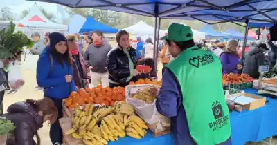 Mercado en tu Barrio: el tomate a 2 kilos por $2.000, ¿qué otras ofertas hay?