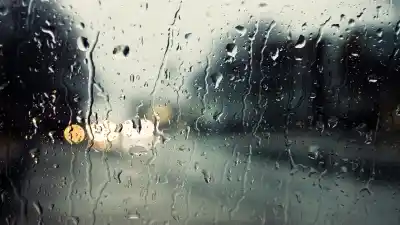 La lluvia llegó a Santa Rosa: el campo respira después de meses sin agua