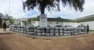75 bolsas grises viajaban desde Salta a Buenos Aires: lo que encontraron adentro