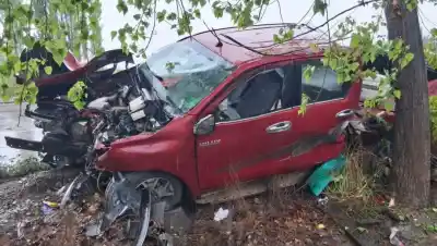 Maniobras, lluvia y un vuelco en la Ruta 22: dos heridos y una camioneta que terminó entre los árboles