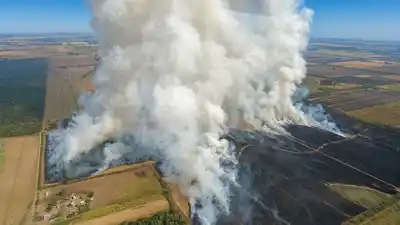 Tucumán: el aire de la zafra tiene un nivel de contaminación que la OMS no avala