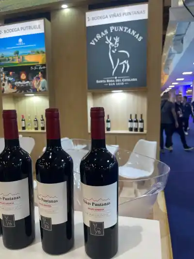 San Luis metió su vino en la feria más grande de América Latina y hay un número que explica todo