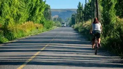 El tramo donde ya murieron 17 personas tendrá su bicisenda: cómo será la obra de casi 6 kilómetros en Regina