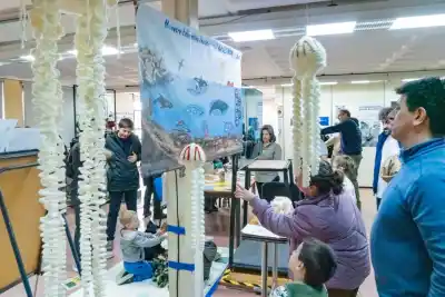 Puerto Madryn: más de 2.500 personas pasaron por el Cenpat Abierto y una nena de 10 años se llevó todos los aplausos