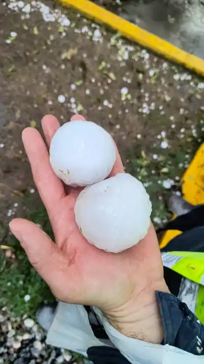 El granizo gigante sorprendió a cuatro localidades cordobesas y dejó daños a su paso