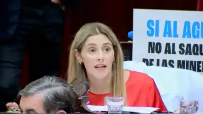 Una diputada se planta contra la reforma ambiental: “No es una ley minera, es el agua que le vamos a dejar a nuestros nietos”