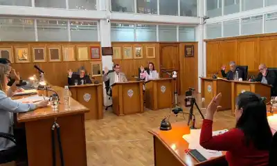 Trelew: el Concejo tomó una decisión clave sobre los baldíos y su dueño deberá cumplir con esto