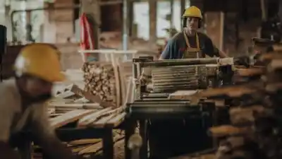 La industria y la construcción se derrumbaron en agosto: el sector que cayó 24%