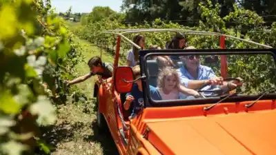 Pancho Dotto plantó Malbec en su chacra de Entre Ríos y el vino ya tiene nombre