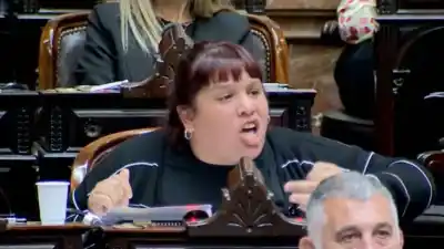 Insultos y acusaciones en Diputados: una legisladora desató su furia contra el Gobierno
